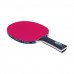 Ракетка DONIC COLOR Z PINK Ракетка DONIC COLOR Z PINK