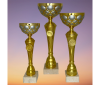 Кубок 17-21-24 Кубок 17-21-24