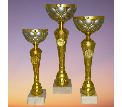 Кубок 17-22-24 Кубок 17-22-24