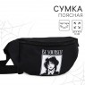 Поясная сумка на молнии 9556623