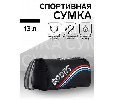 Сумка спортивная на молнии 9889412