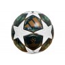 Мяч футбольный №5 "League Champions UEFA" E46166