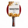 Ракетка для н/т TORRES Master 3* TT0007