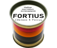 Набор кистевых эспандеров "Fortius" 3шт (30,40,50кг)(тубус)