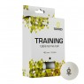 Шарики для н/т TORRES Training 1* TT21016
