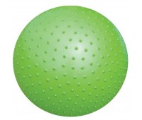 Мяч гимнастический массажный Atemi AGB0255 55 см