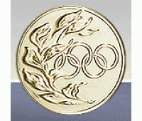 Вставка олимрийские кольца